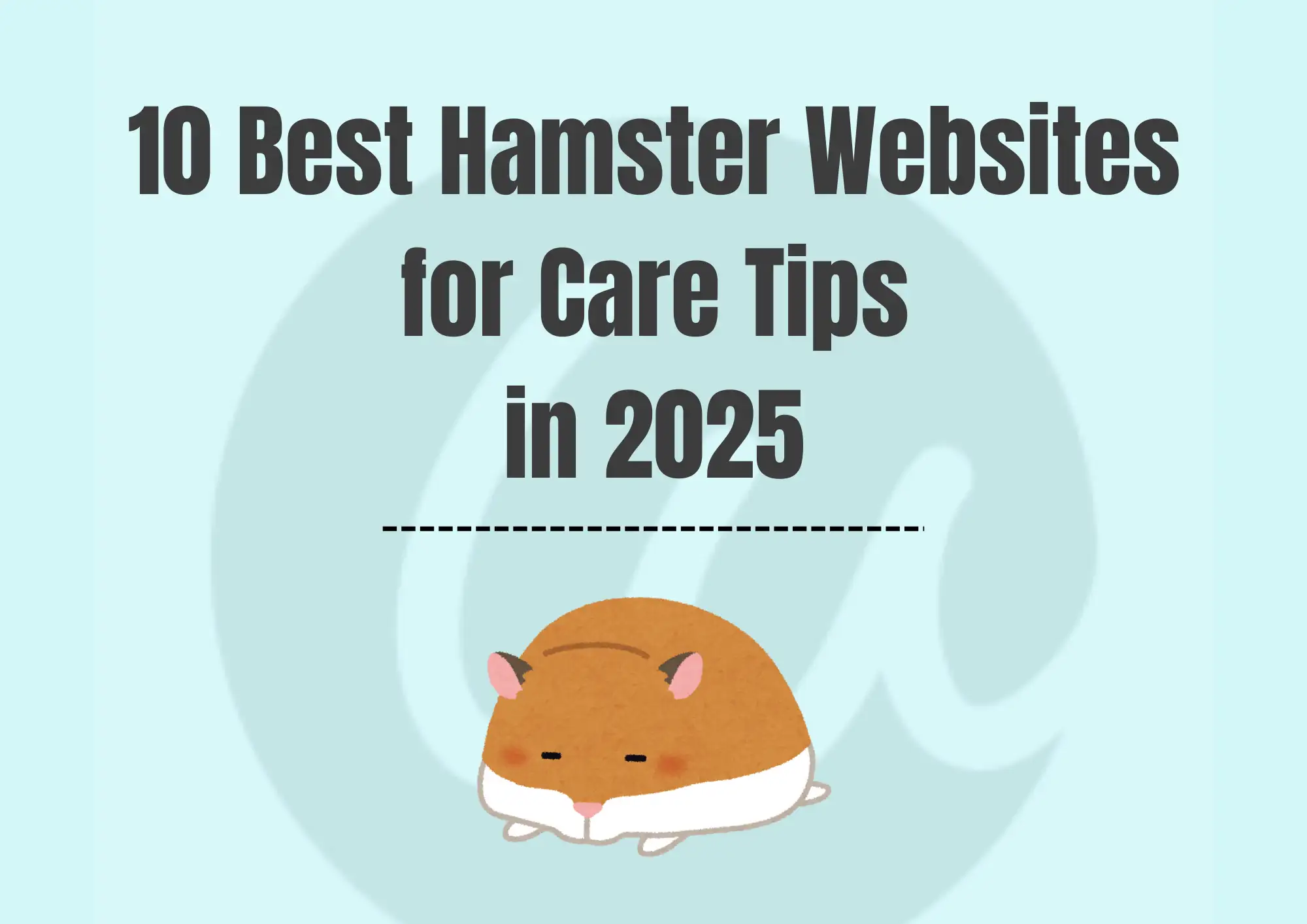 10 best hamster websites for care tips