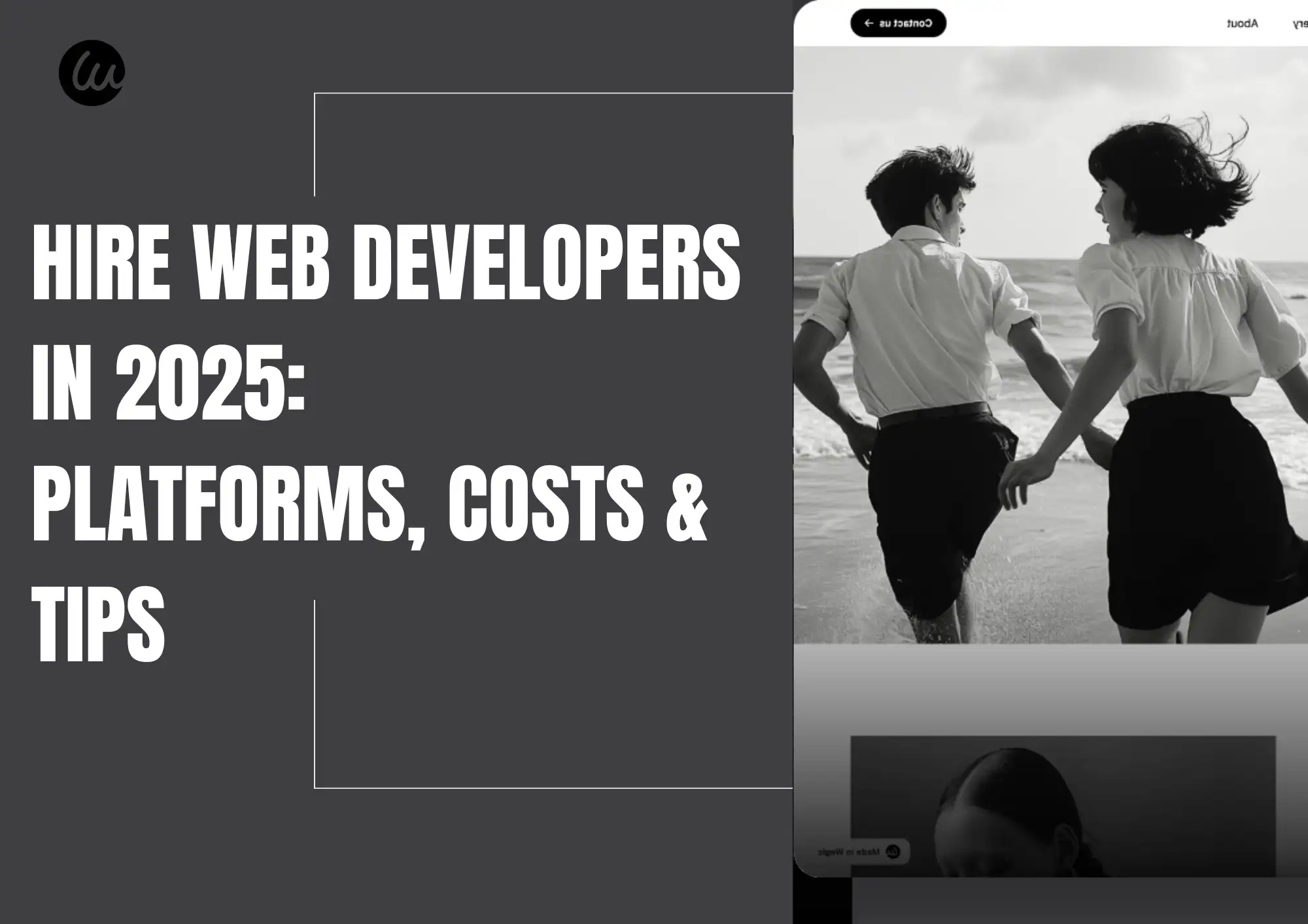 web developer