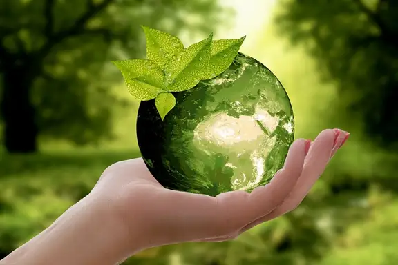 sustainability sustainability