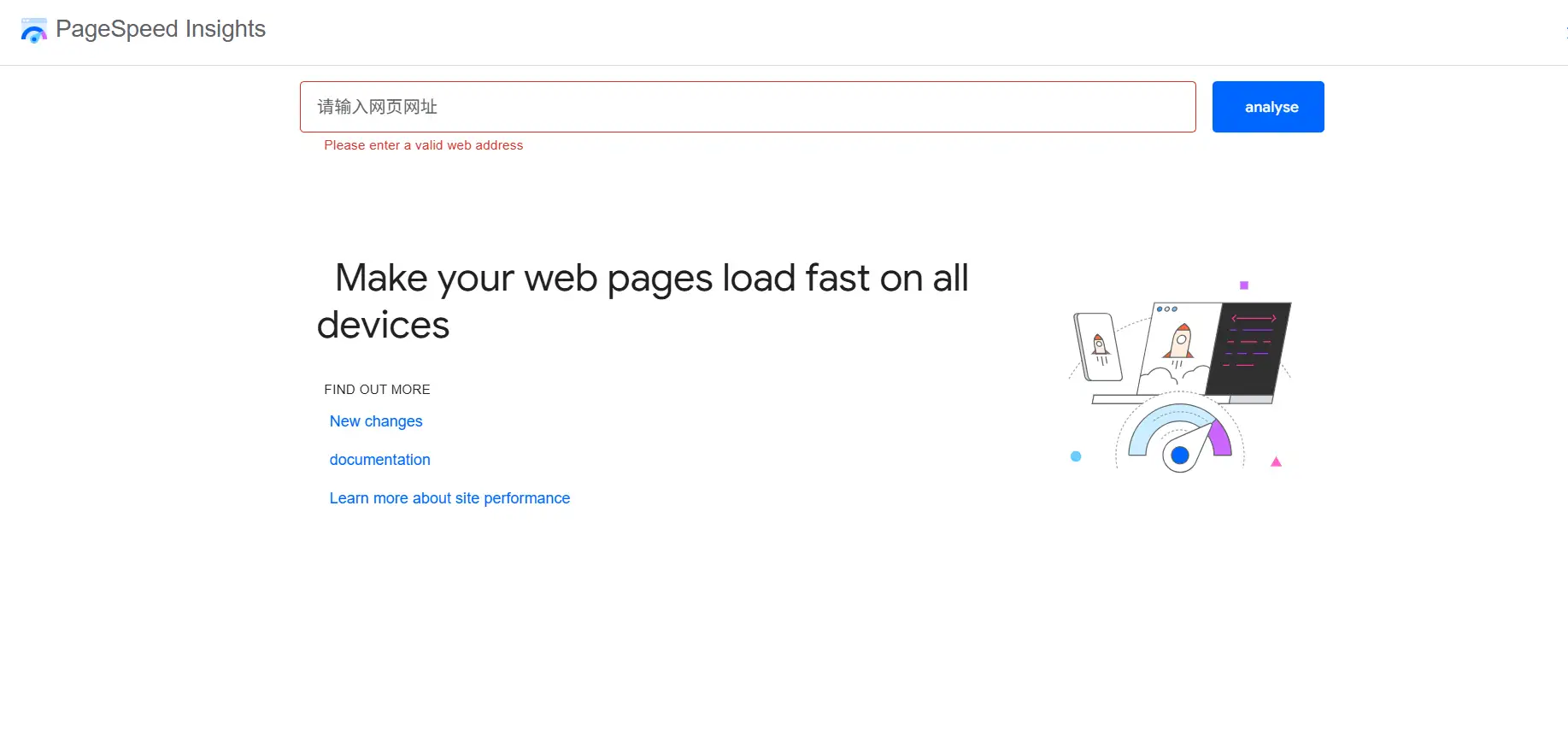 PageSpeed Insights