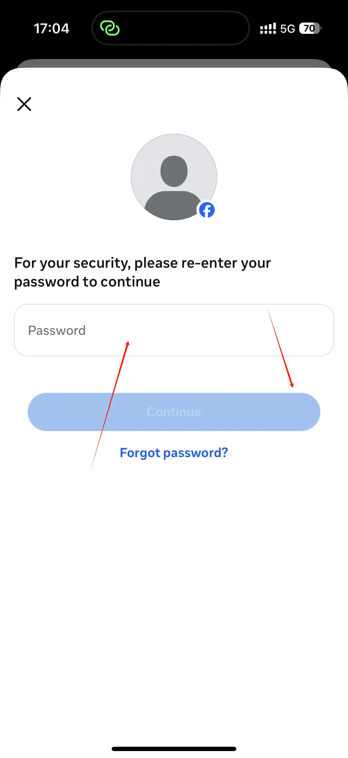 Enter your Facebook password and click "Continue"