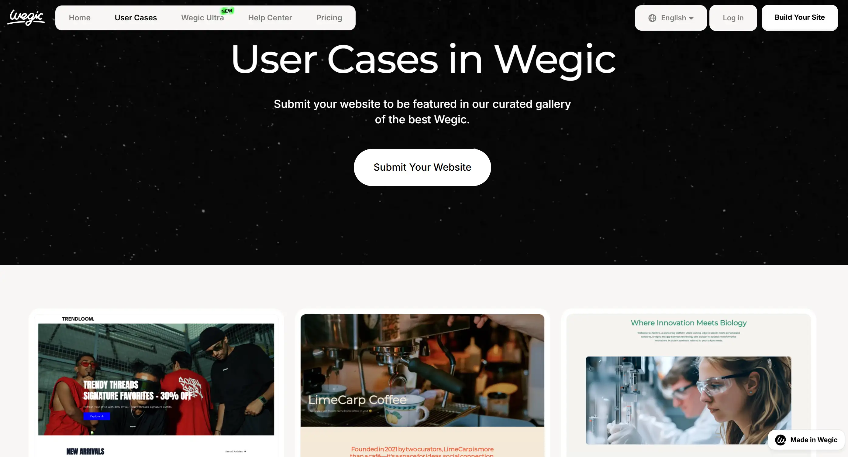 User cases of website building in Wegic User cases of website building in Wegic