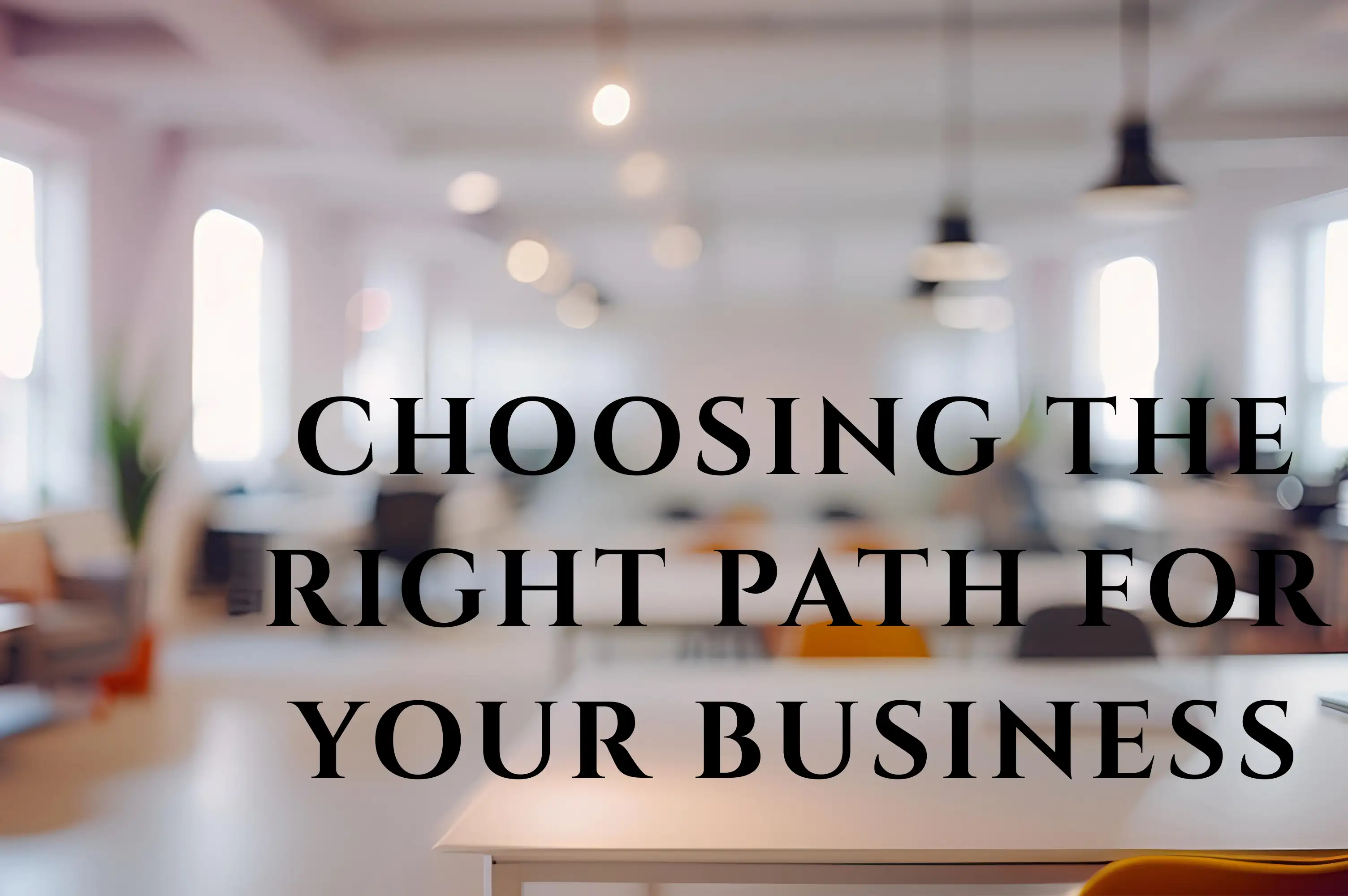 choosing the right path for your business choosing the right path for your business
