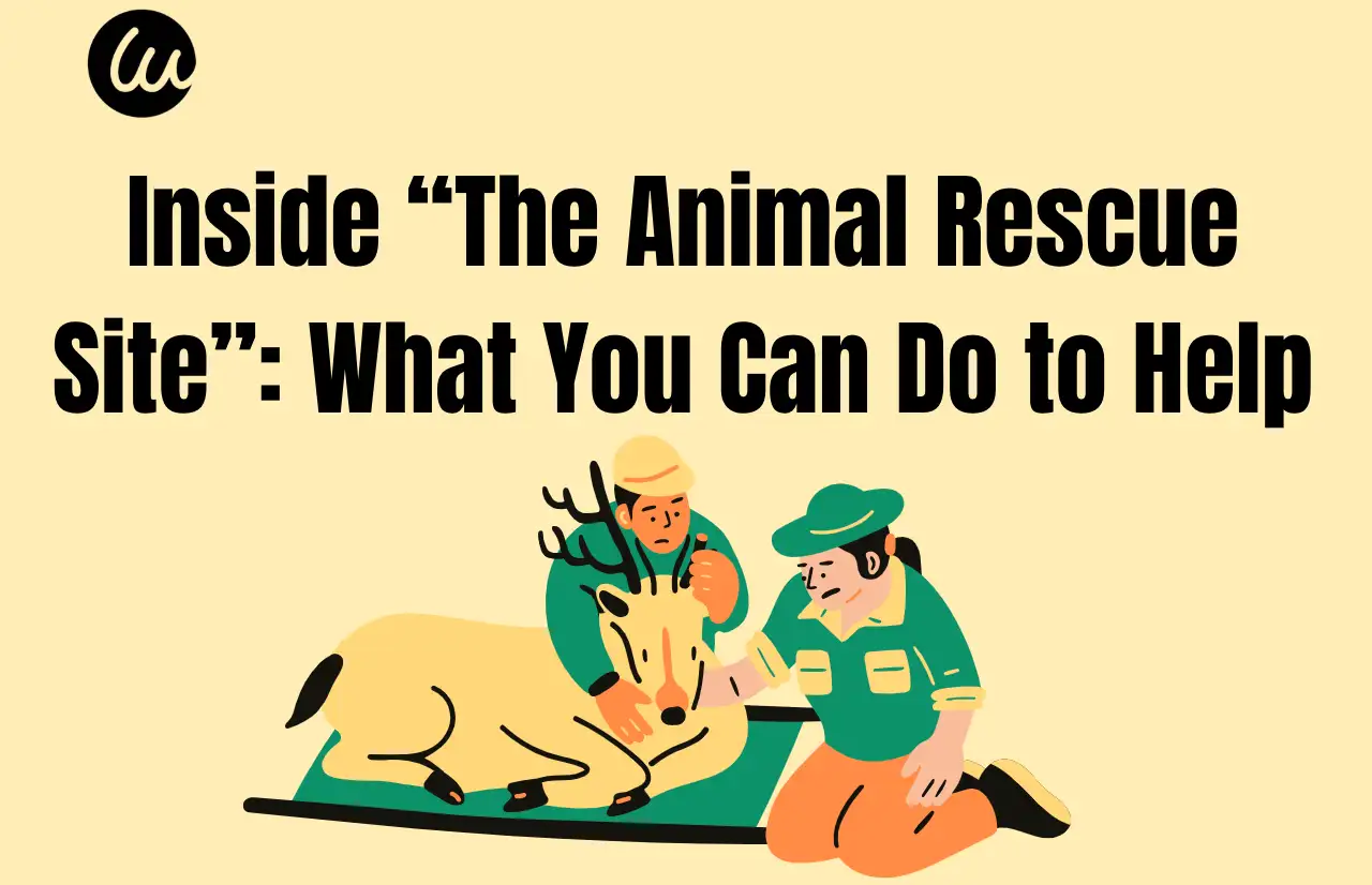 inside the animal rescue site what you can do to help