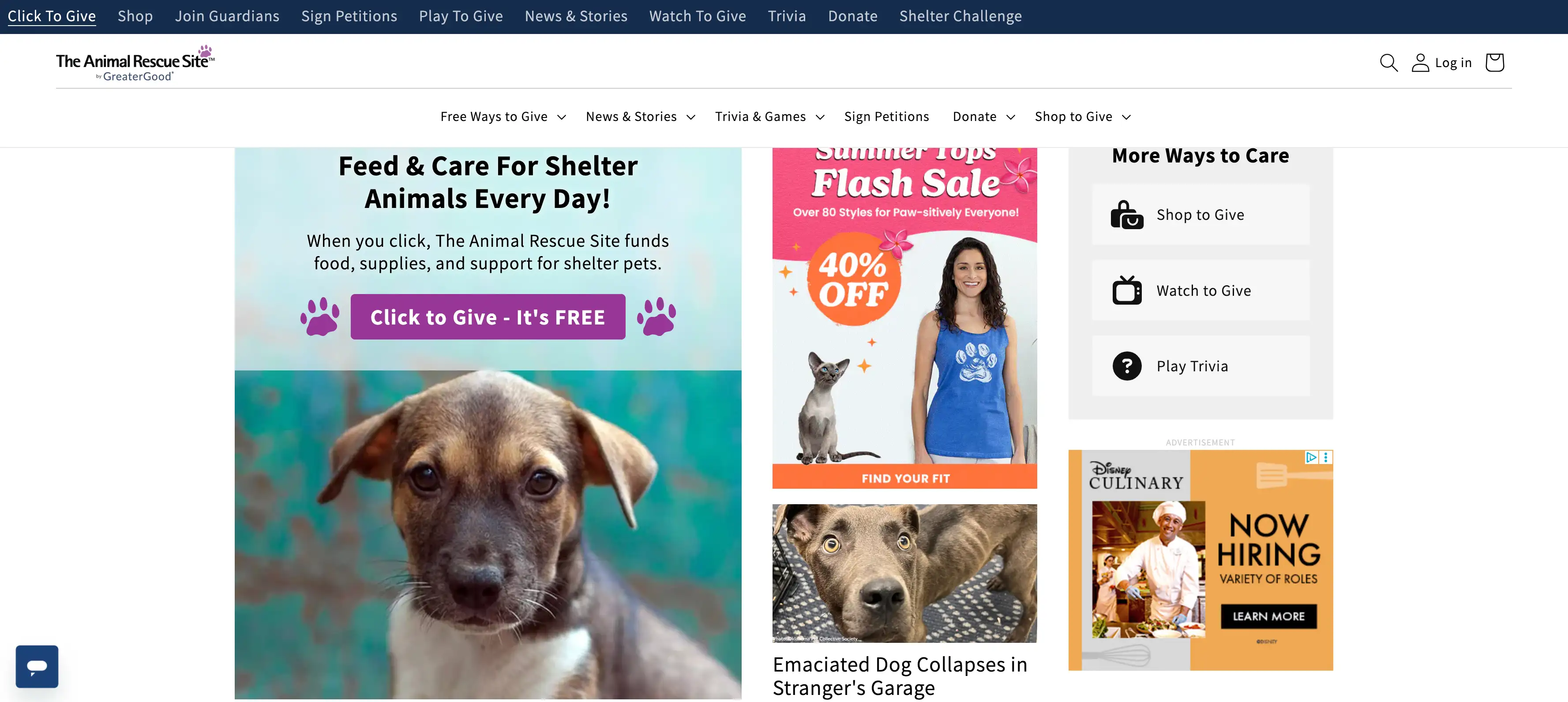 the animal rescue site