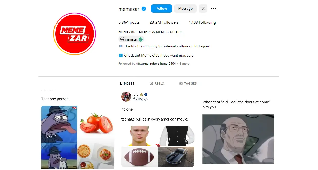 instagram profile of memezar featuring meme posts and followers