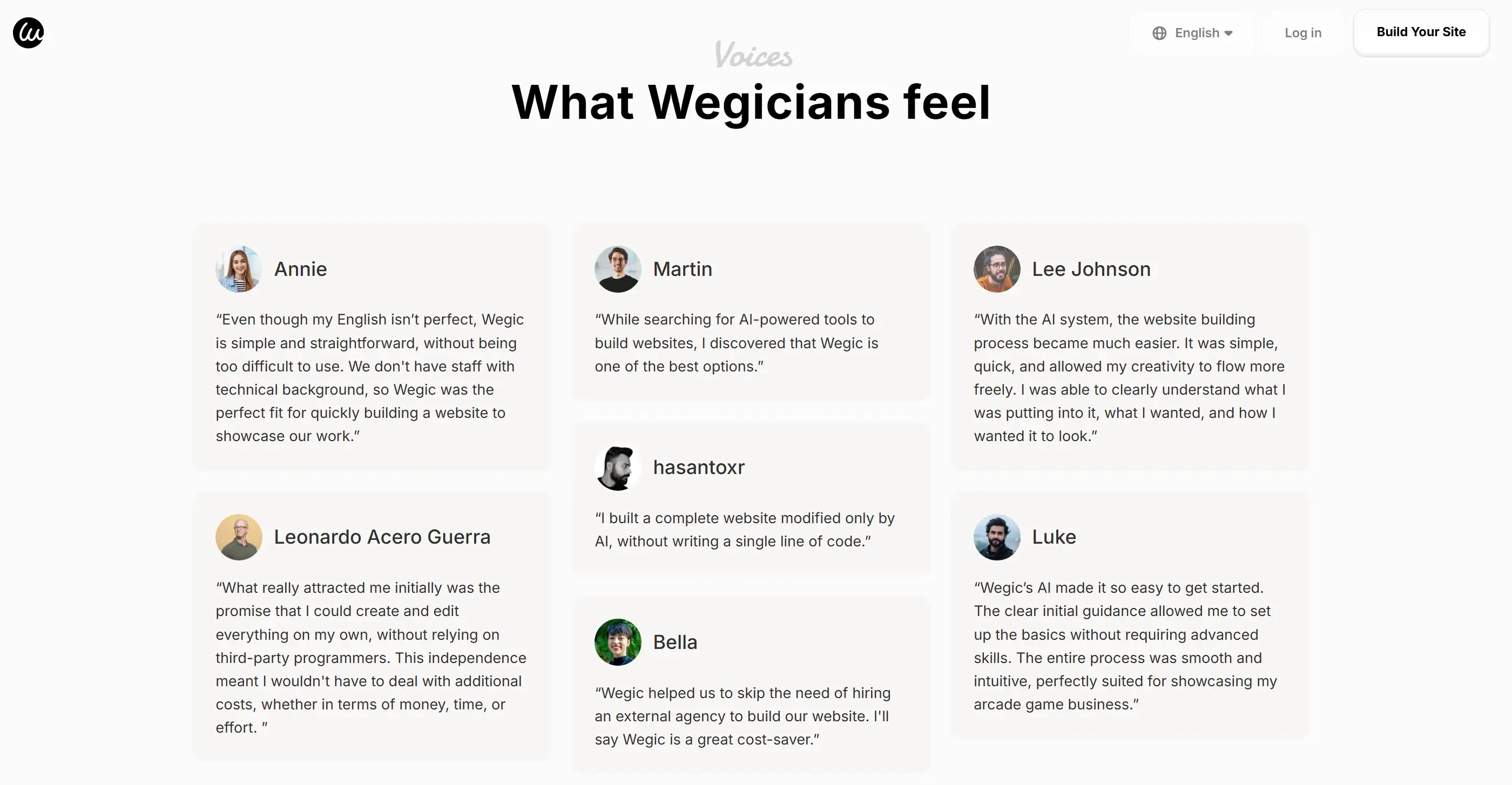 What Wegicians fee on Wegic