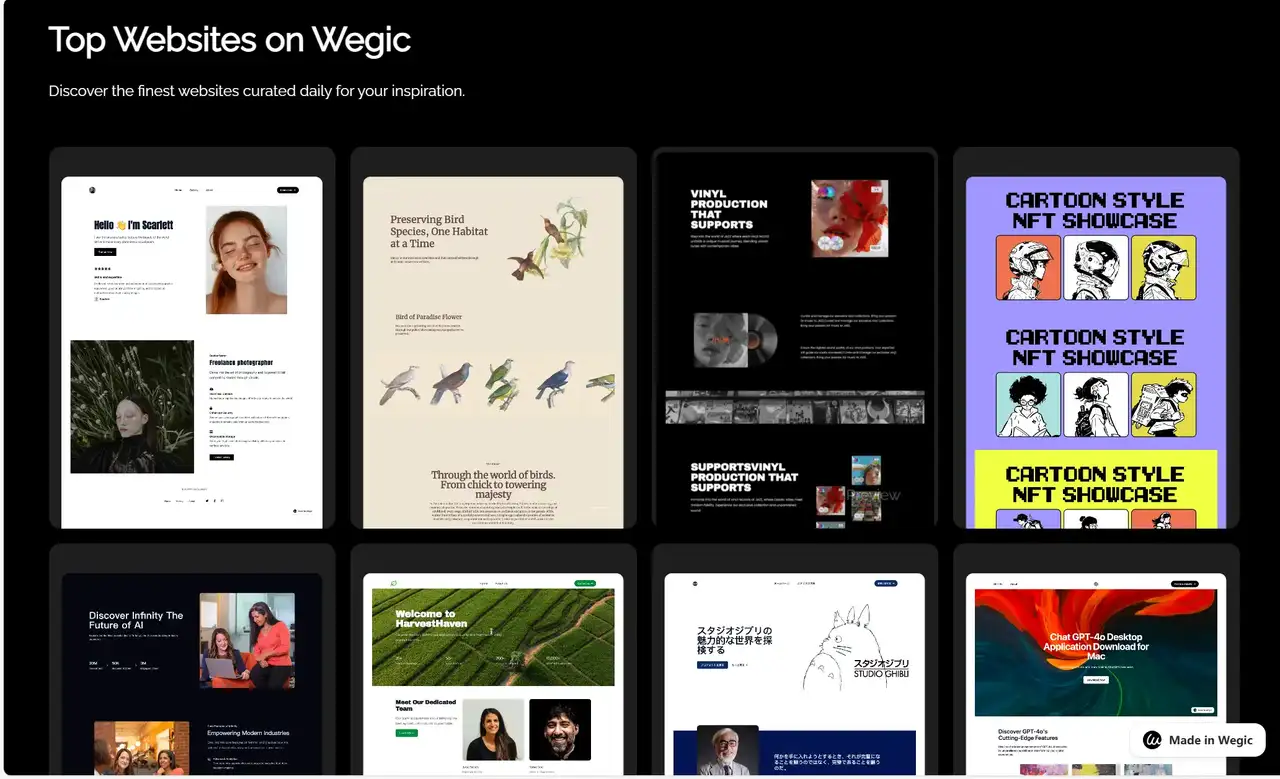 wegic's exquisite website design case