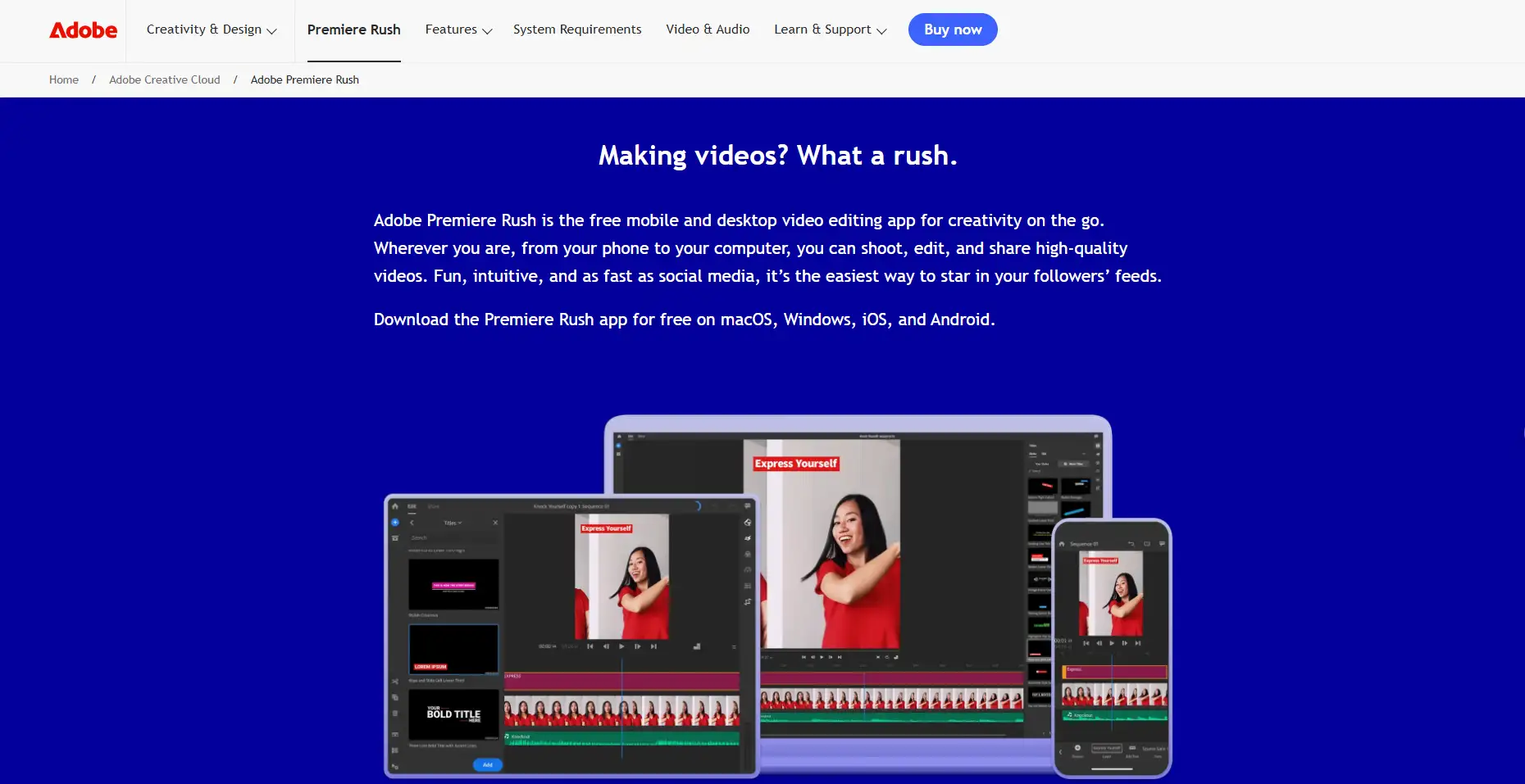 a basic video editor developed by adobe