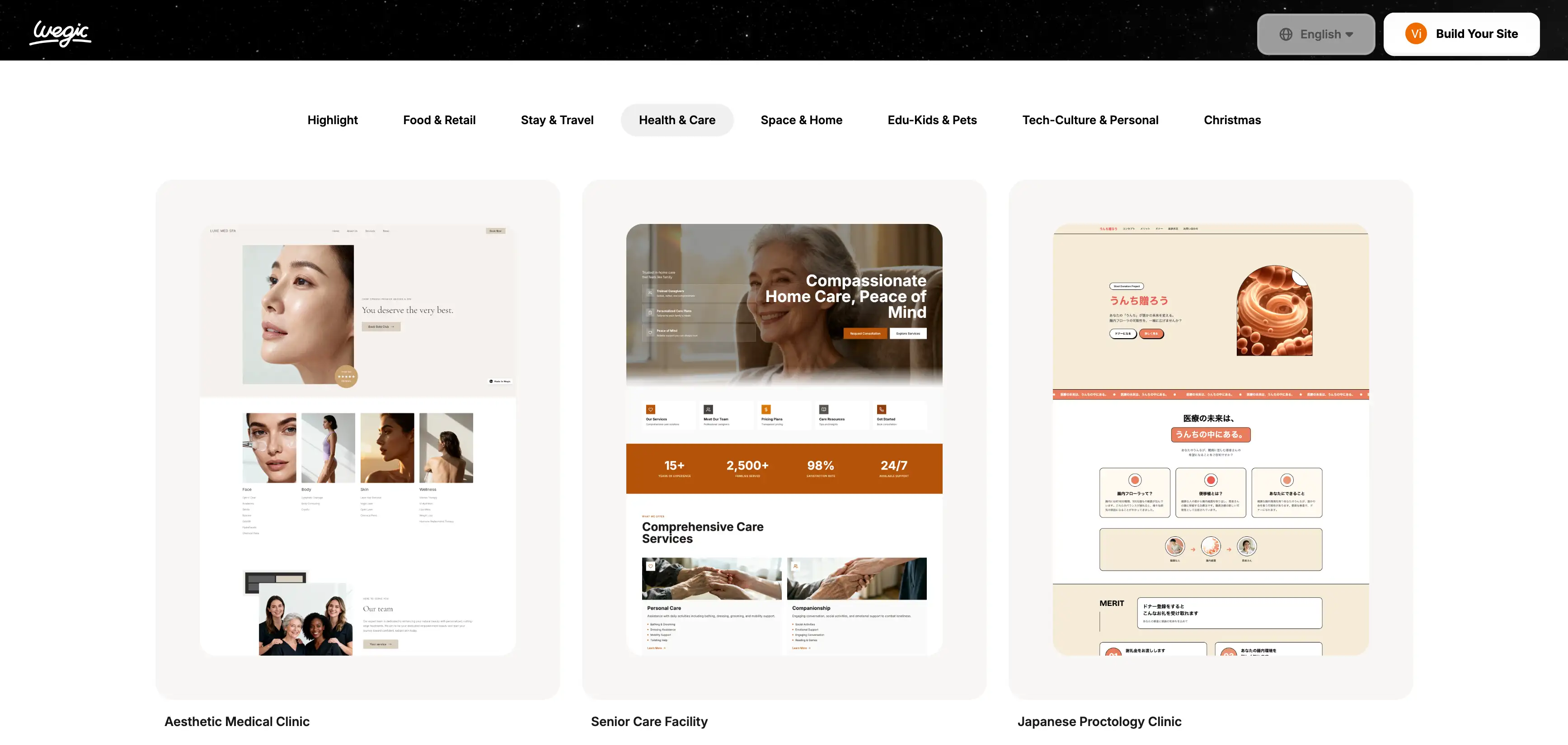 wegic health and care templates wegic health and care templates