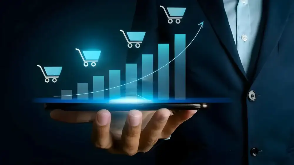 E-commerce expansion E-commerce expansion