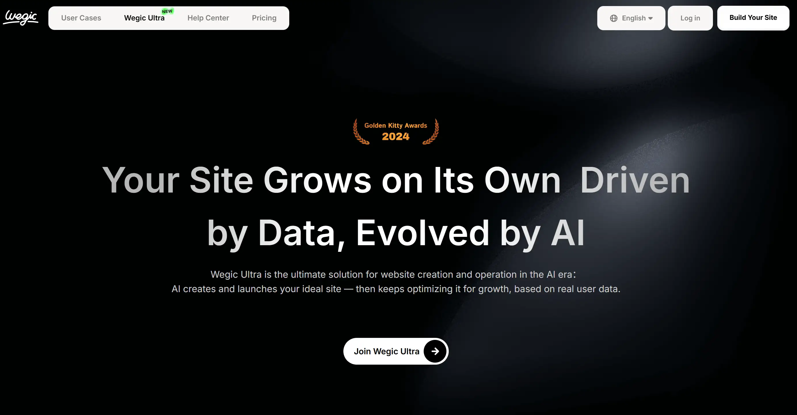 Landing page of Wegic Ultra