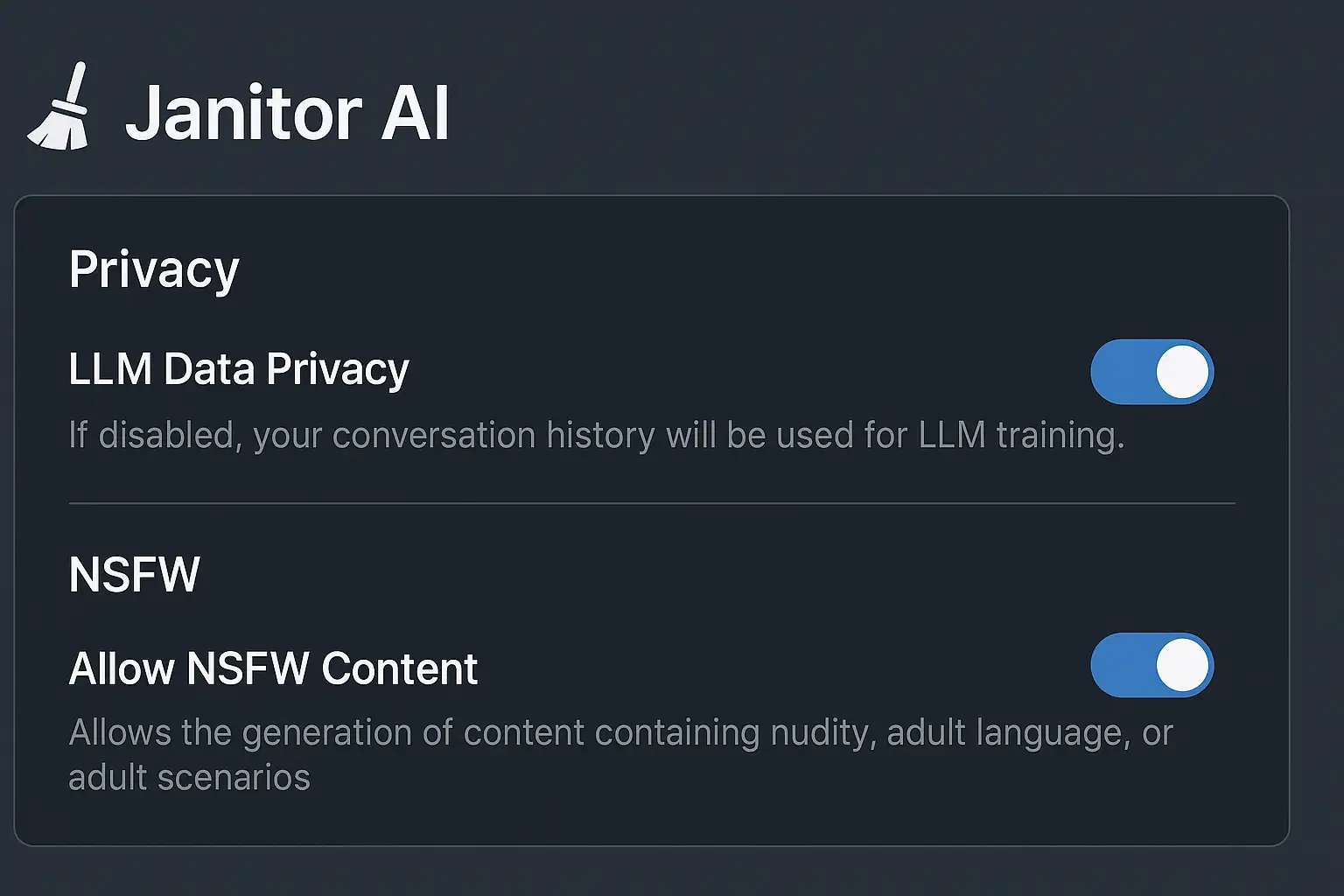 Janitor AI privacy and NSFW settings panel view Janitor AI privacy and NSFW settings panel view