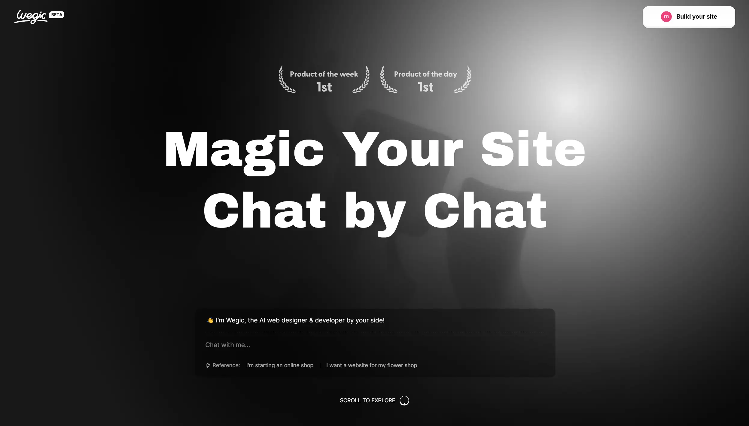 wegic conversation starting interface