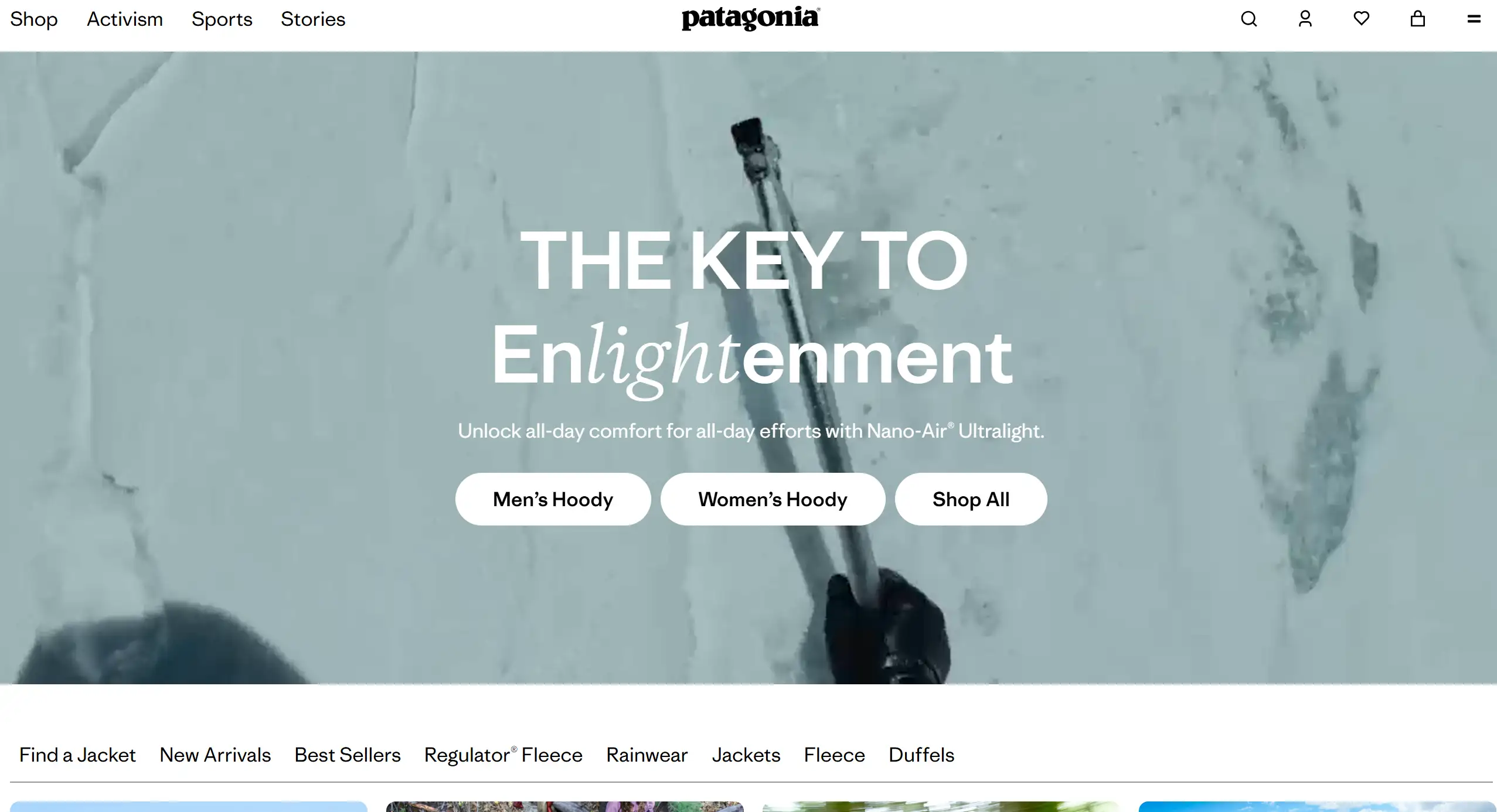 Patagonia's homepage