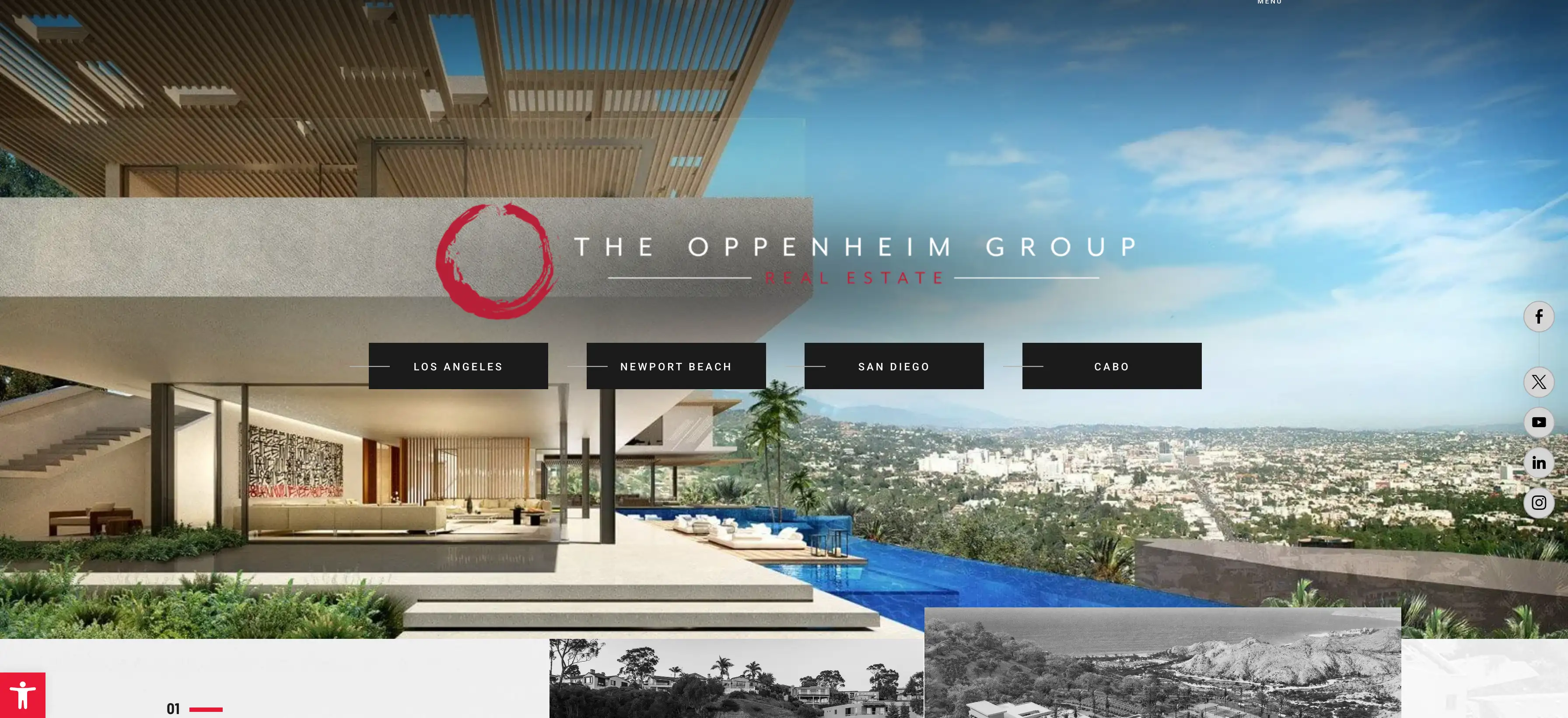 the oppenheim group website