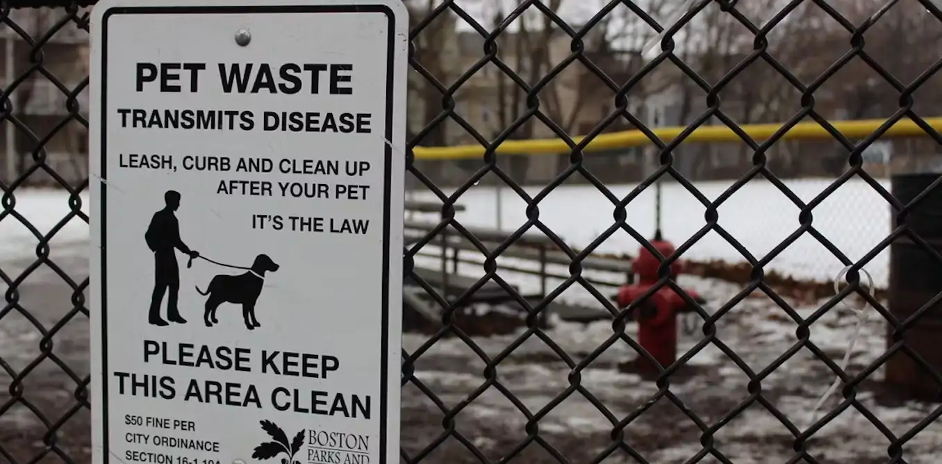 pet waste patrol