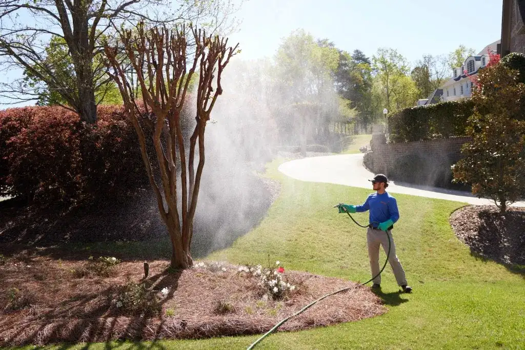 lawn care