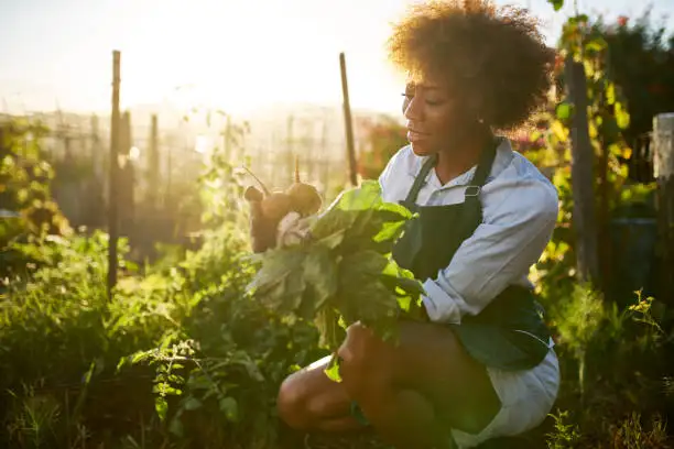 a women gardening and farming in an urban farm