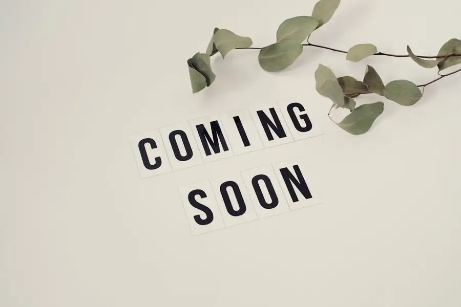 teaser example