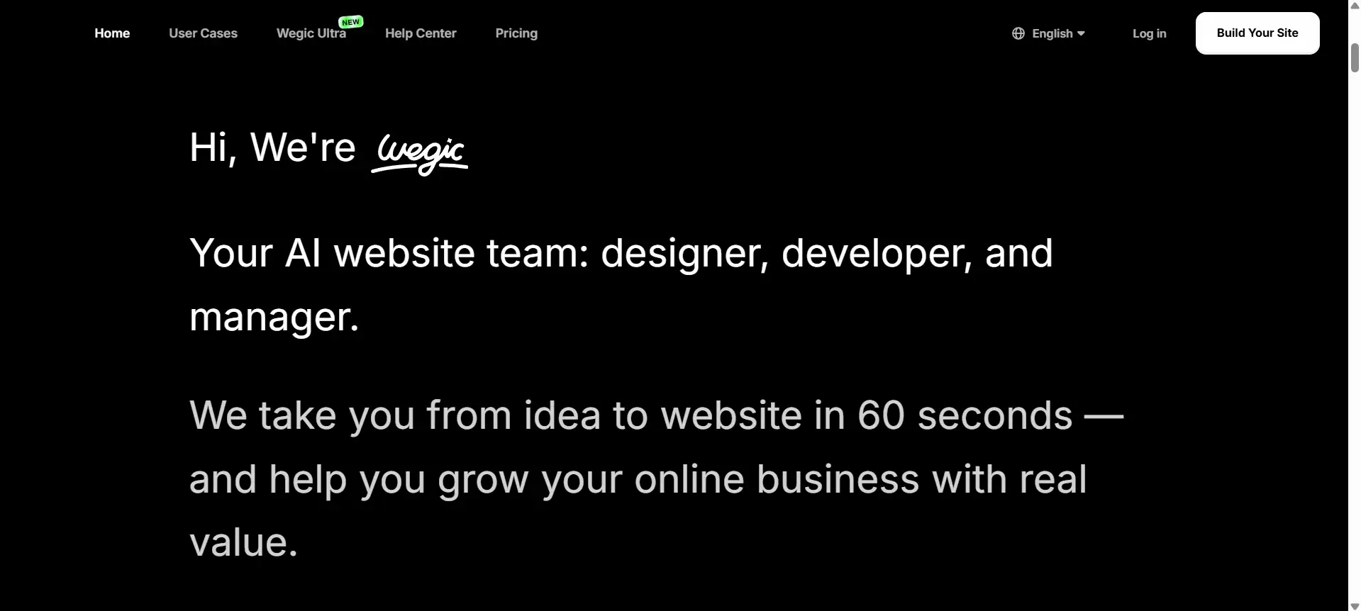 wegic website