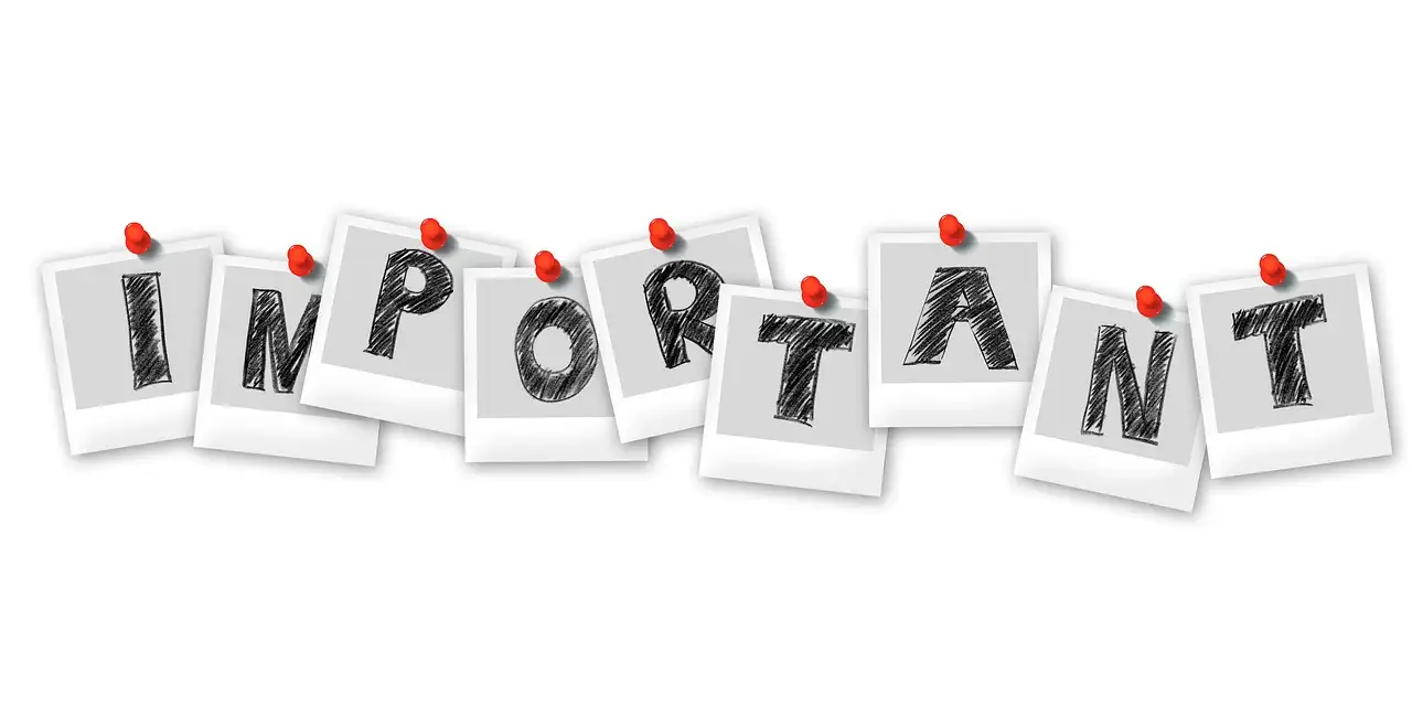 How to Make a Stunning Graphic Design Portfolio?