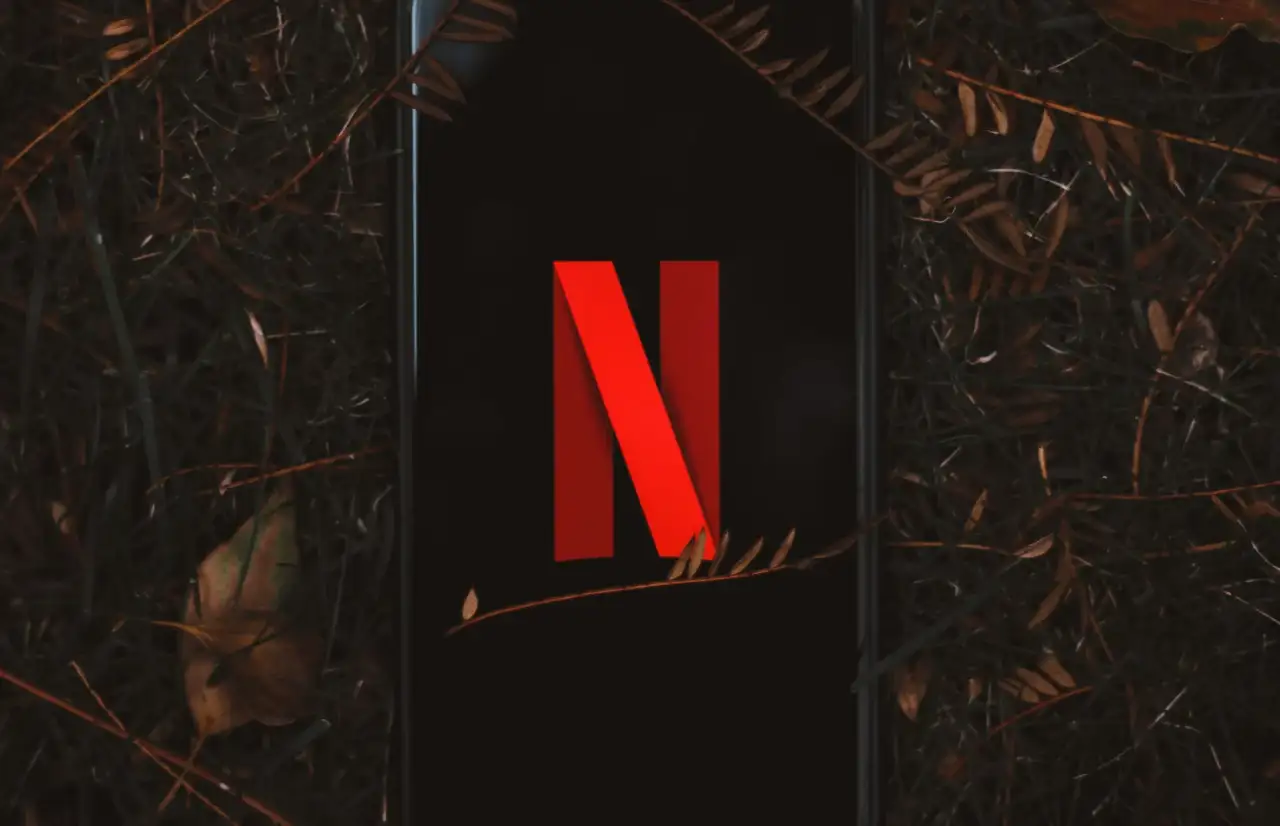 N logo for netflix