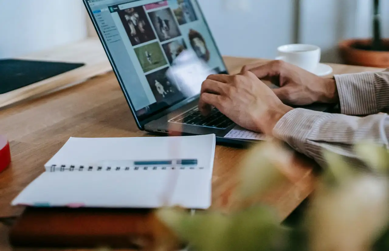 freelance, computer
