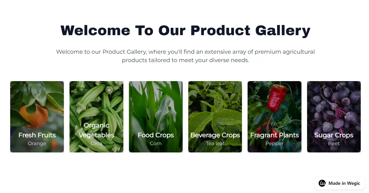 product gallery display