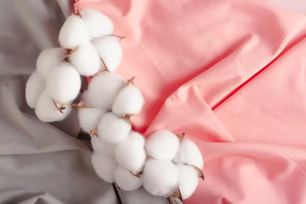 cotton