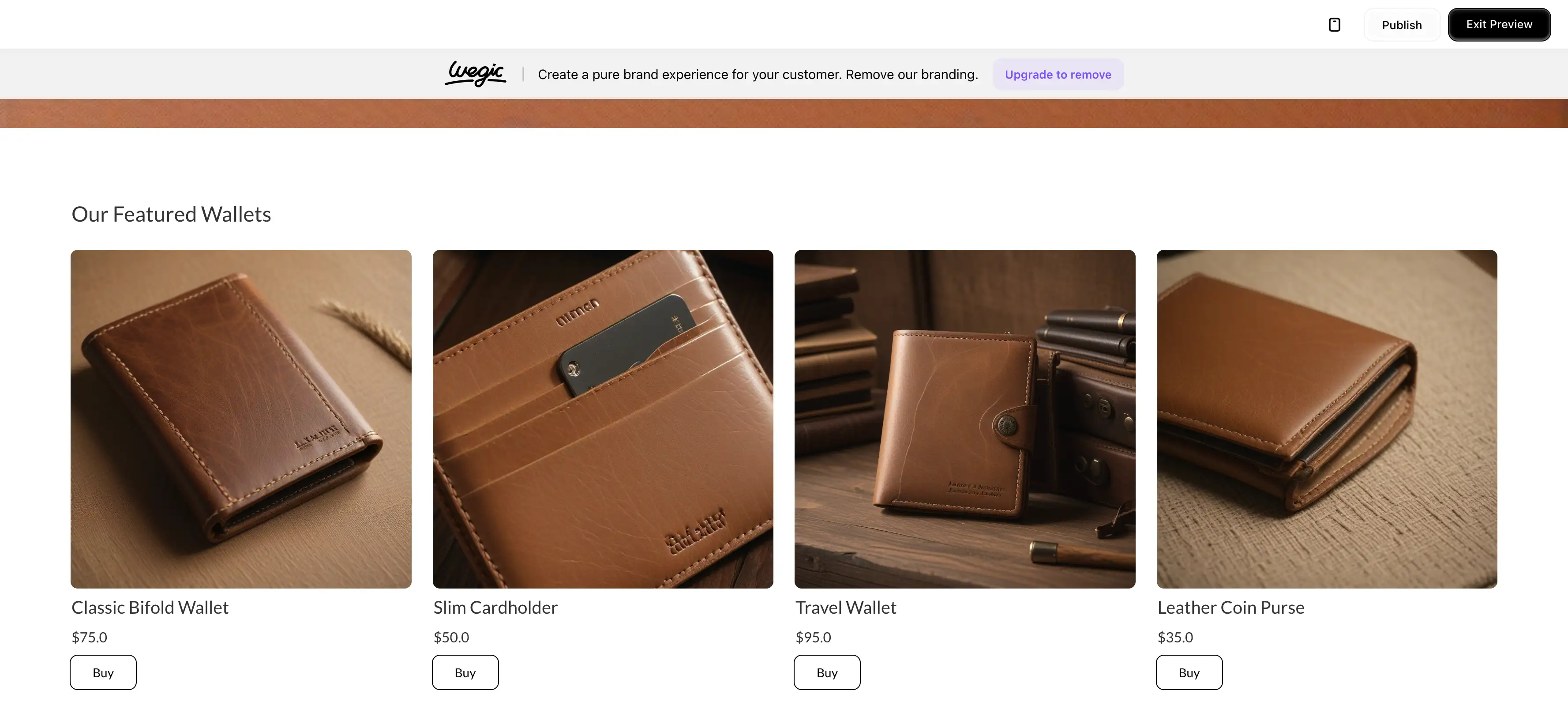 selling e-commerce store
