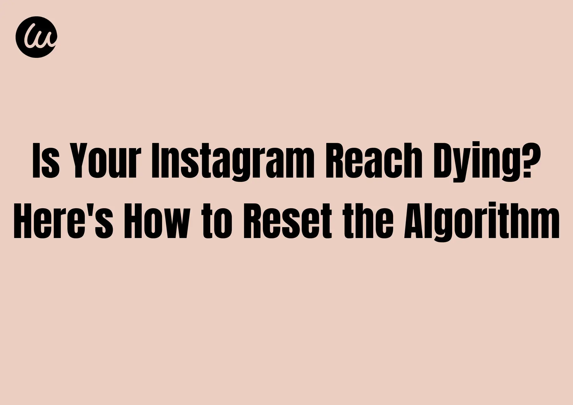 reset instagram algorithm reset instagram algorithm