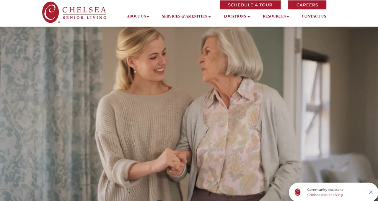 web focuses on the idea of professionalism and modernity