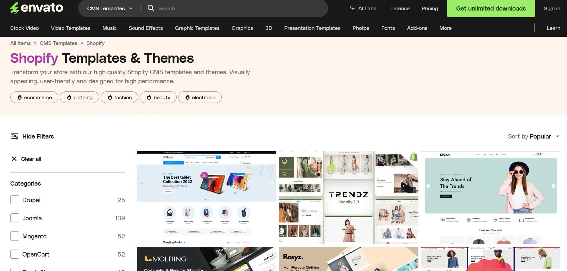 templates for e-commerce and fashion stores