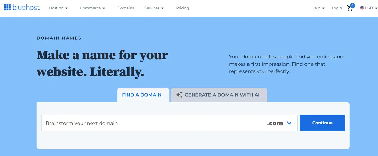 domain name registrar together with web hosting services