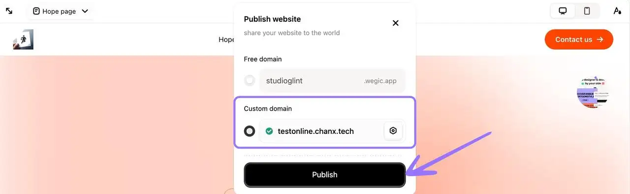 use a custom domain name to publish the website