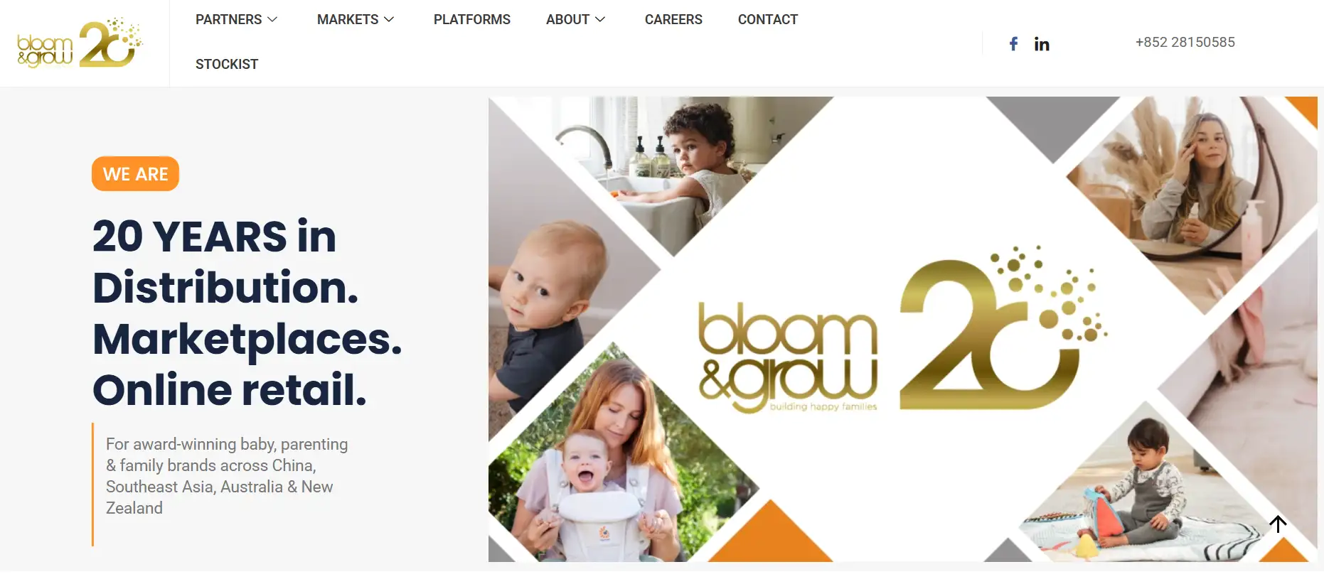 the website of bloom & grow