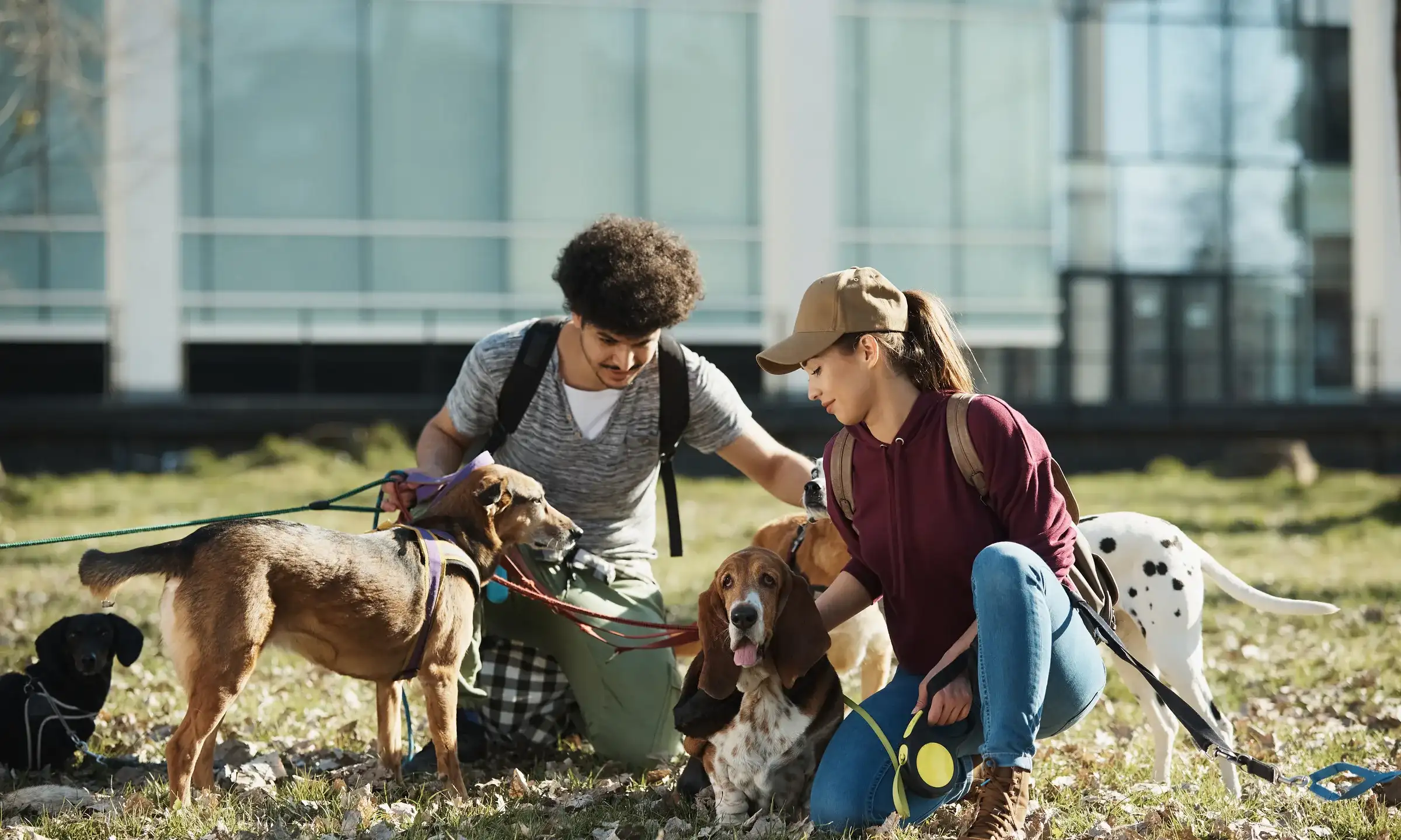 A teen entrepreneur starting a dog walking business, a great side hustle for teens in 2025. A teen entrepreneur starting a dog walking business, a great side hustle for teens in 2025.