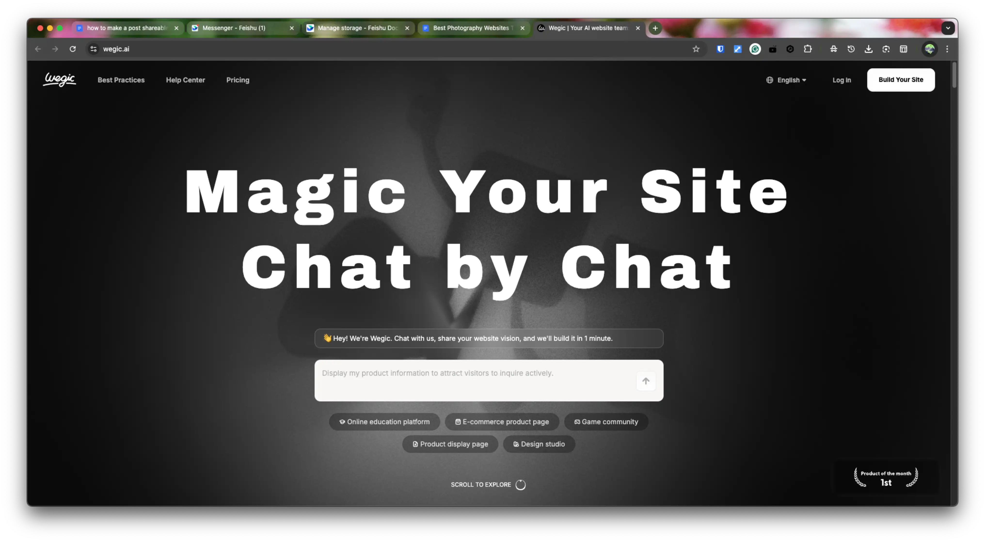 Wegic's home page
