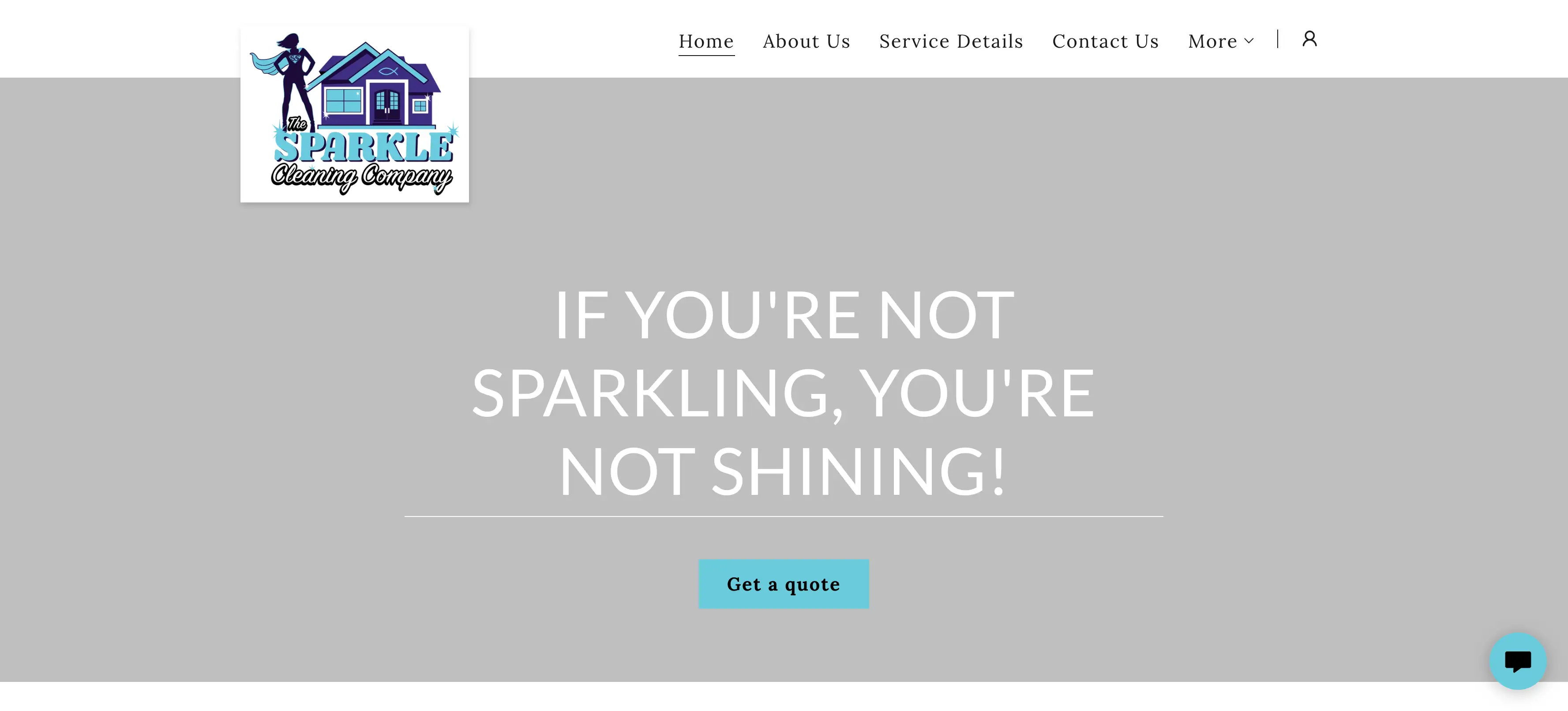 sparkle clean co website