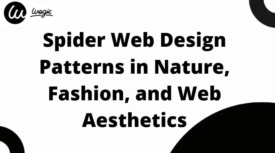spider web design application explained spider web design application explained