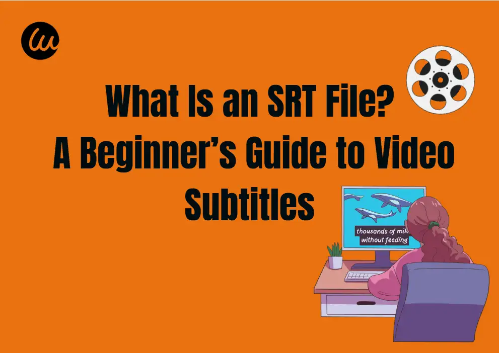What Is an SRT File