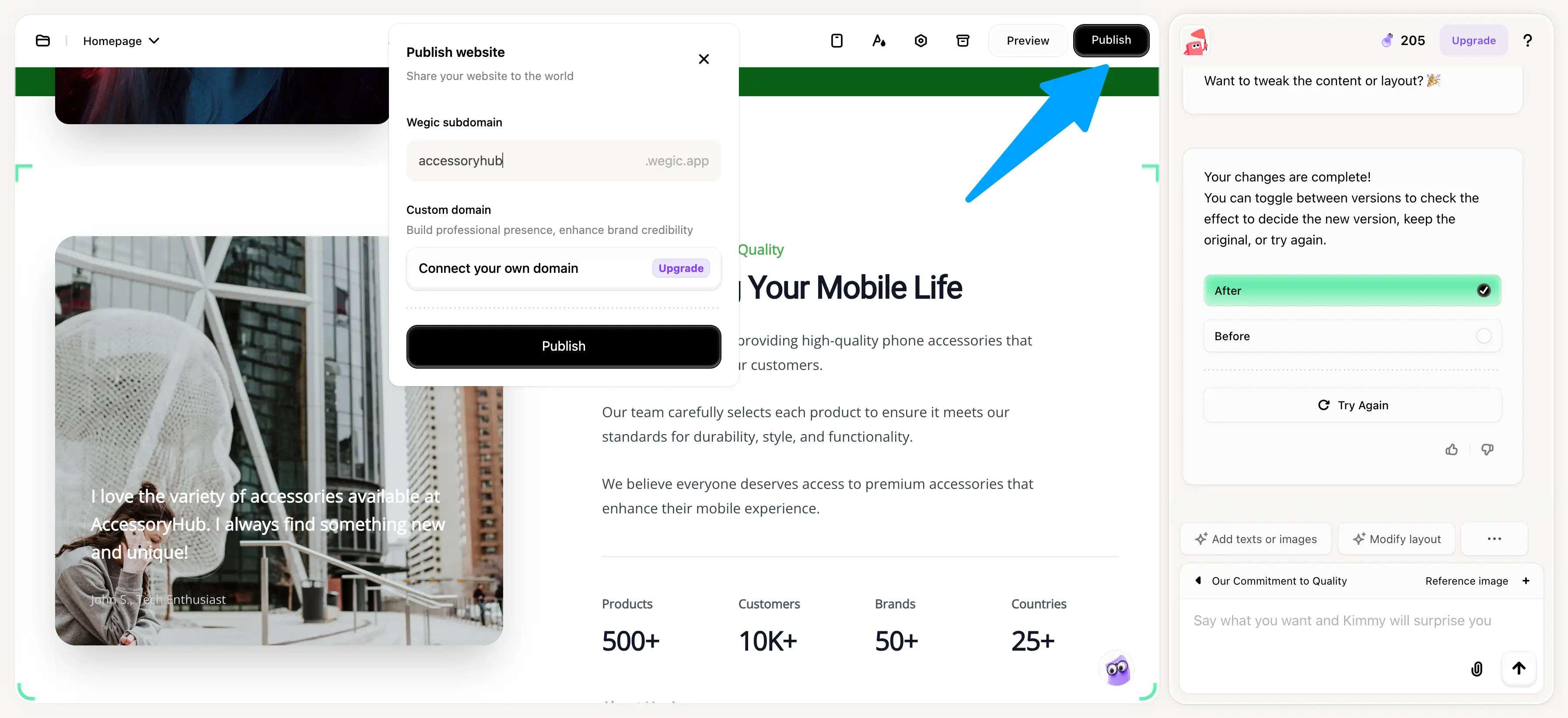 publish dropshipping site with wegic
