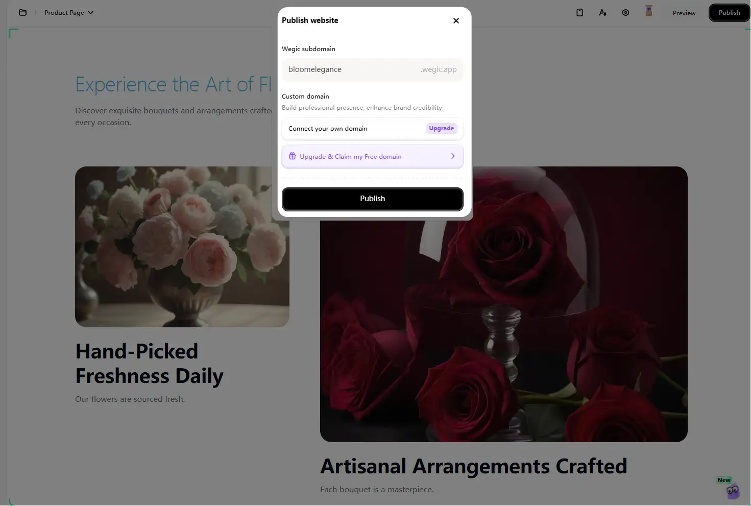 publish the website