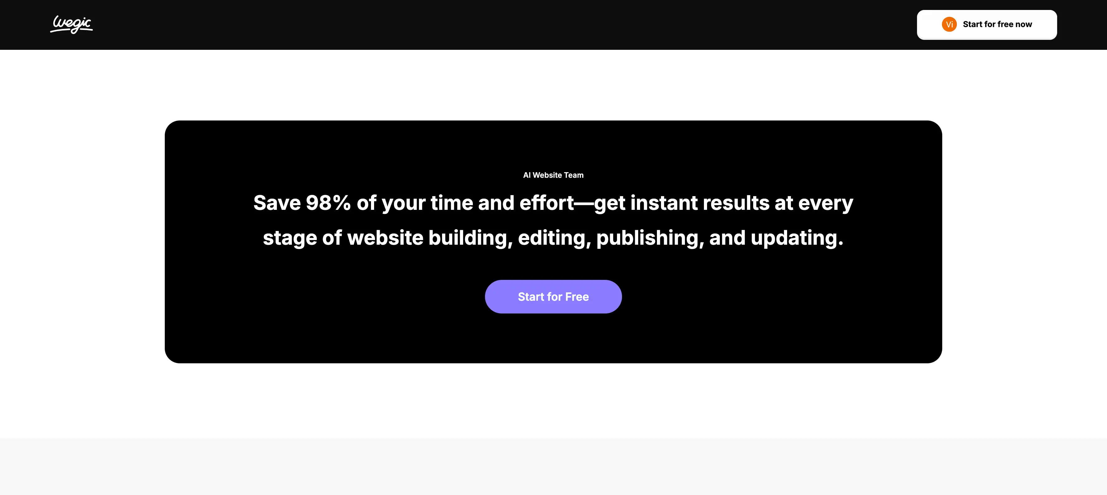 wegic ai website team