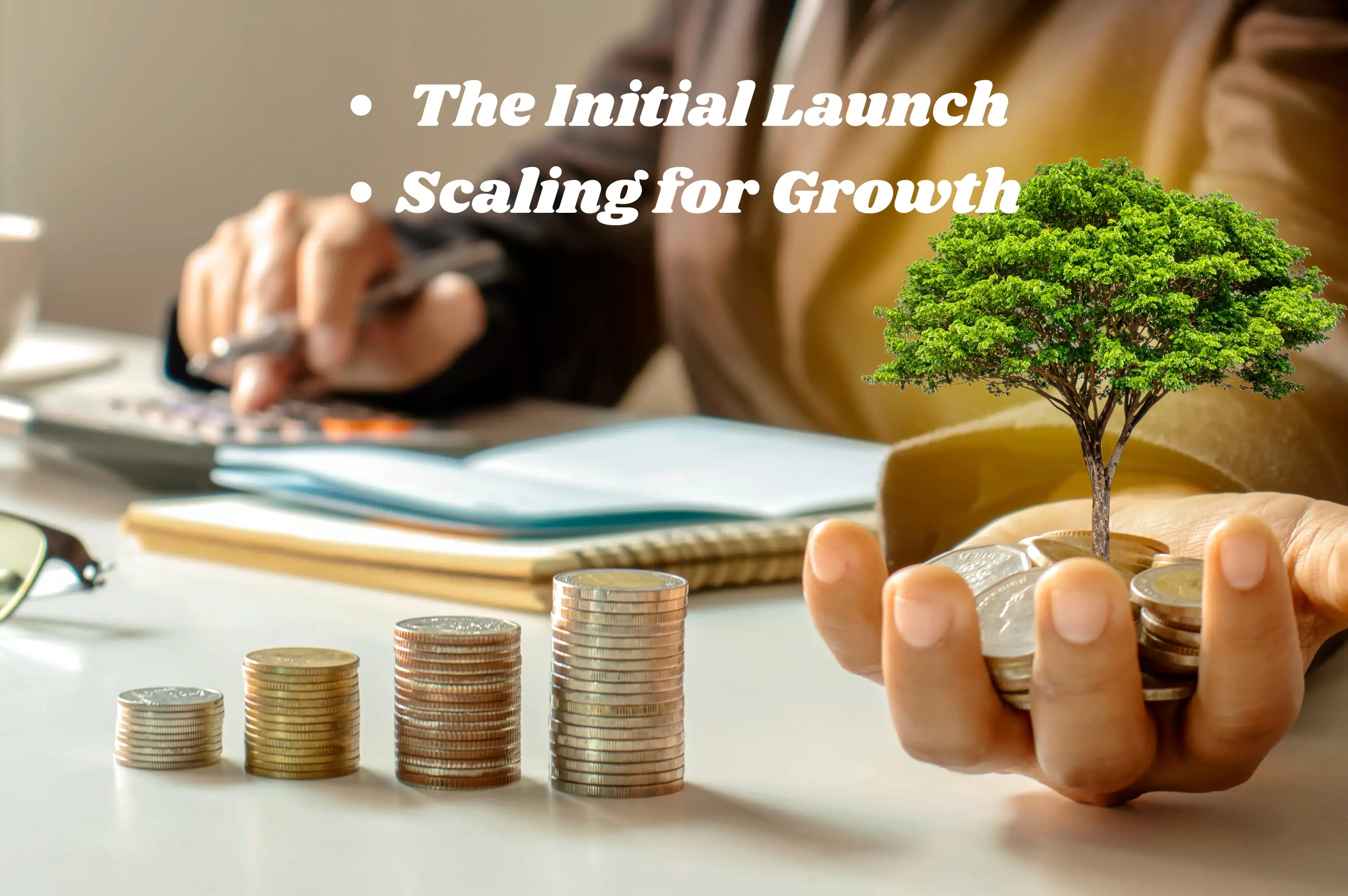 launch and grow your business launch and grow your business