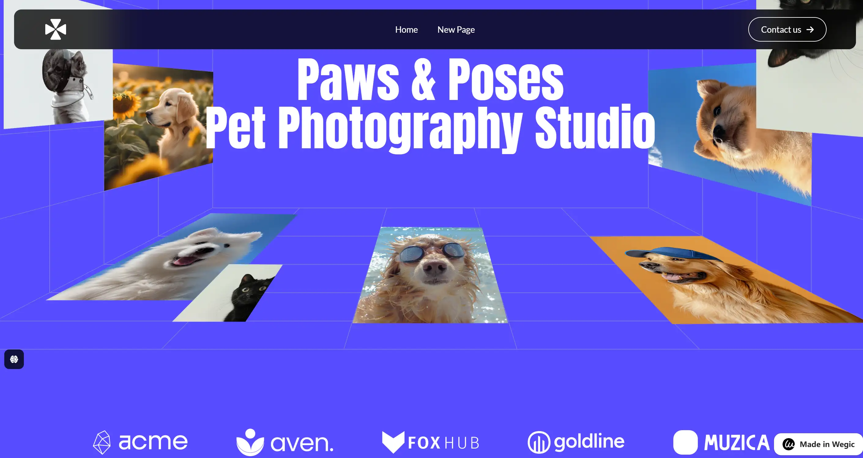 Paws and Poses pet photography studio website made by Wegic