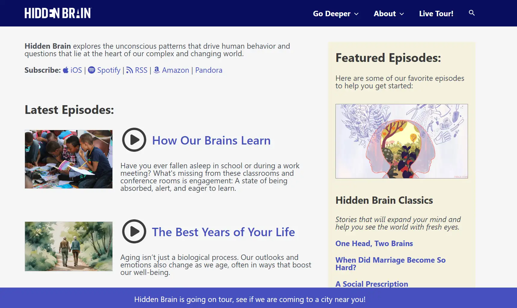 Hidden Brain's homepage Hidden Brain's homepage