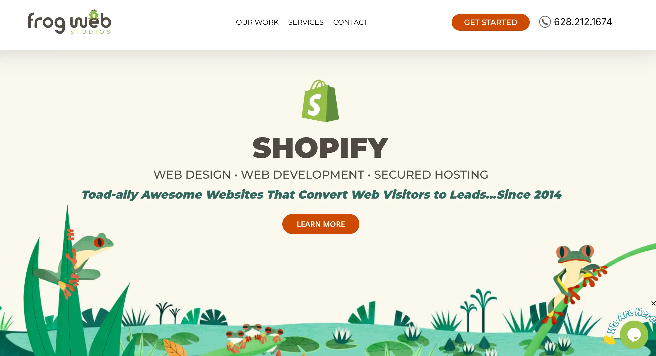 Homepage of Frog Web Studios Homepage of Frog Web Studios