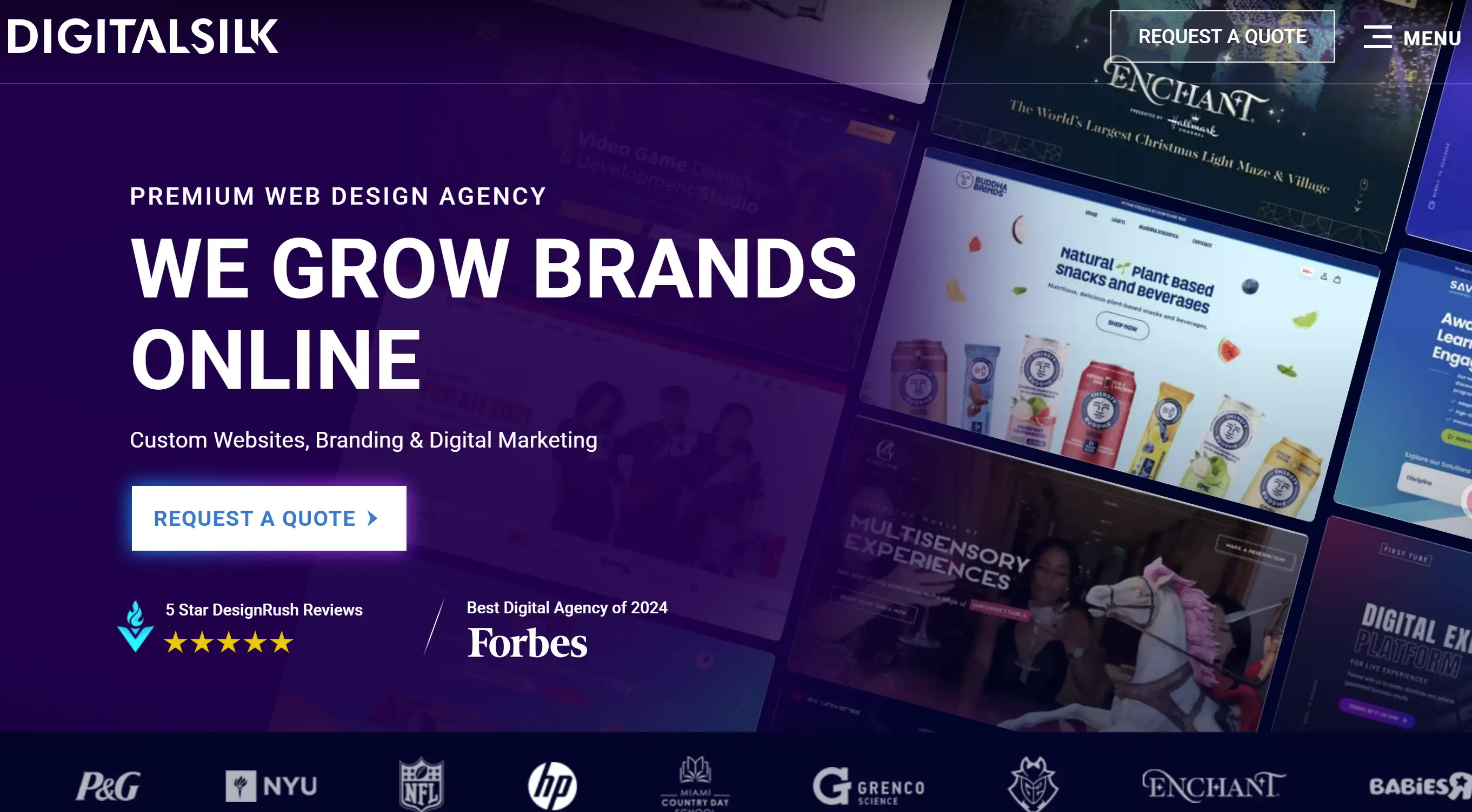 Homepage of Digital Silk